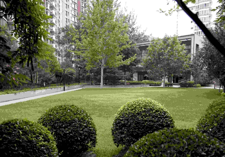 北京雙井恭和苑養(yǎng)老院